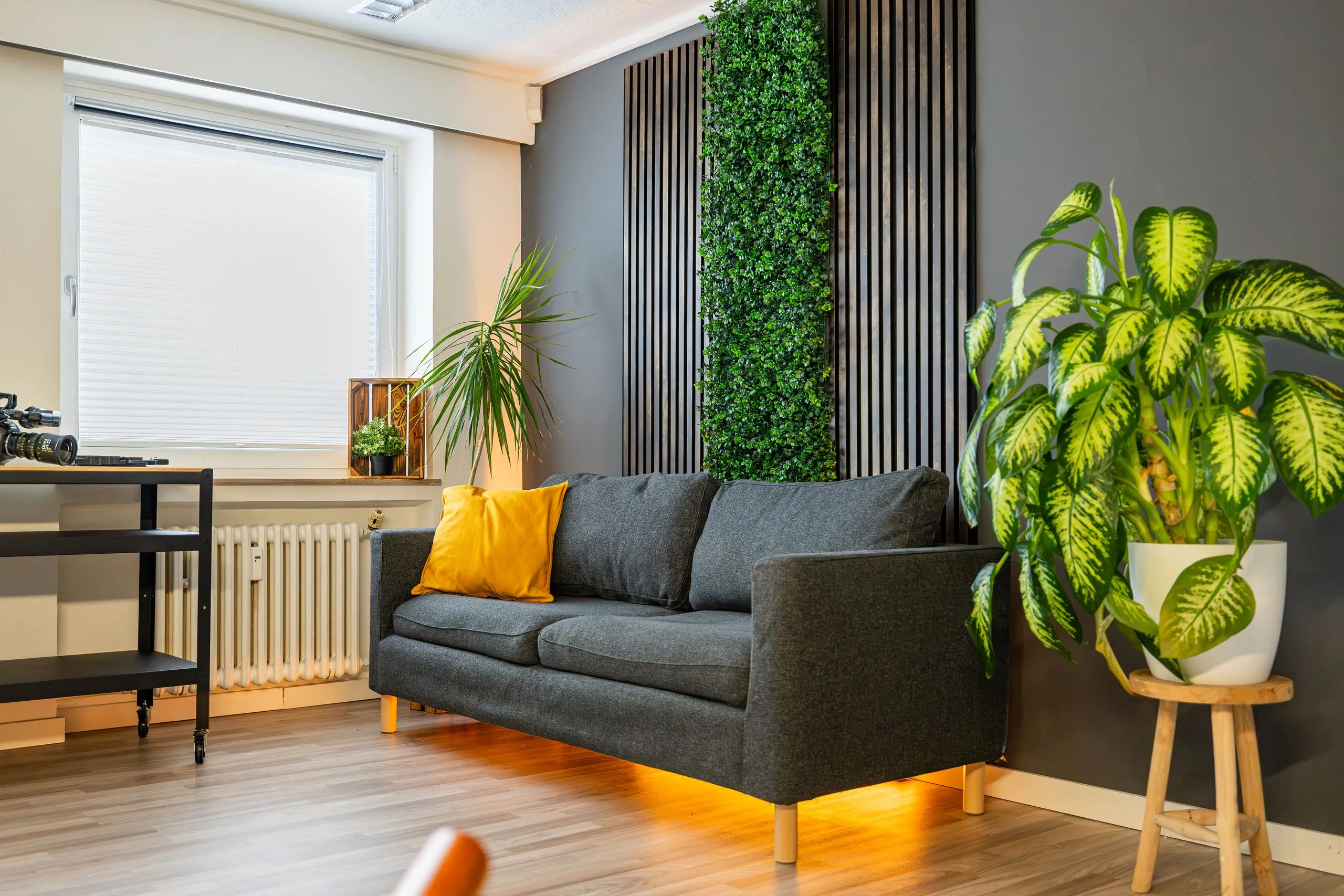 Couch vor Pflanzenwand und Holzlamellen im Fotostudio Essen-Rüttenscheid