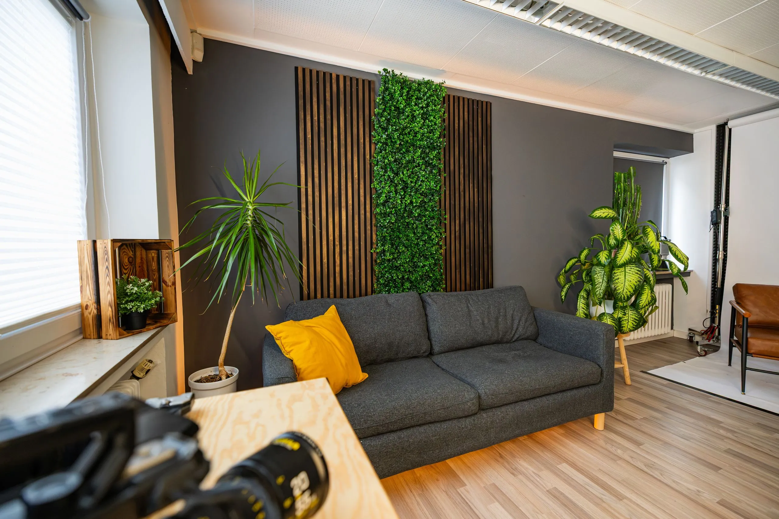 Cinema-Kamera vor dem Couch-Set an der Pflanzenwand im Content-Studio Essen