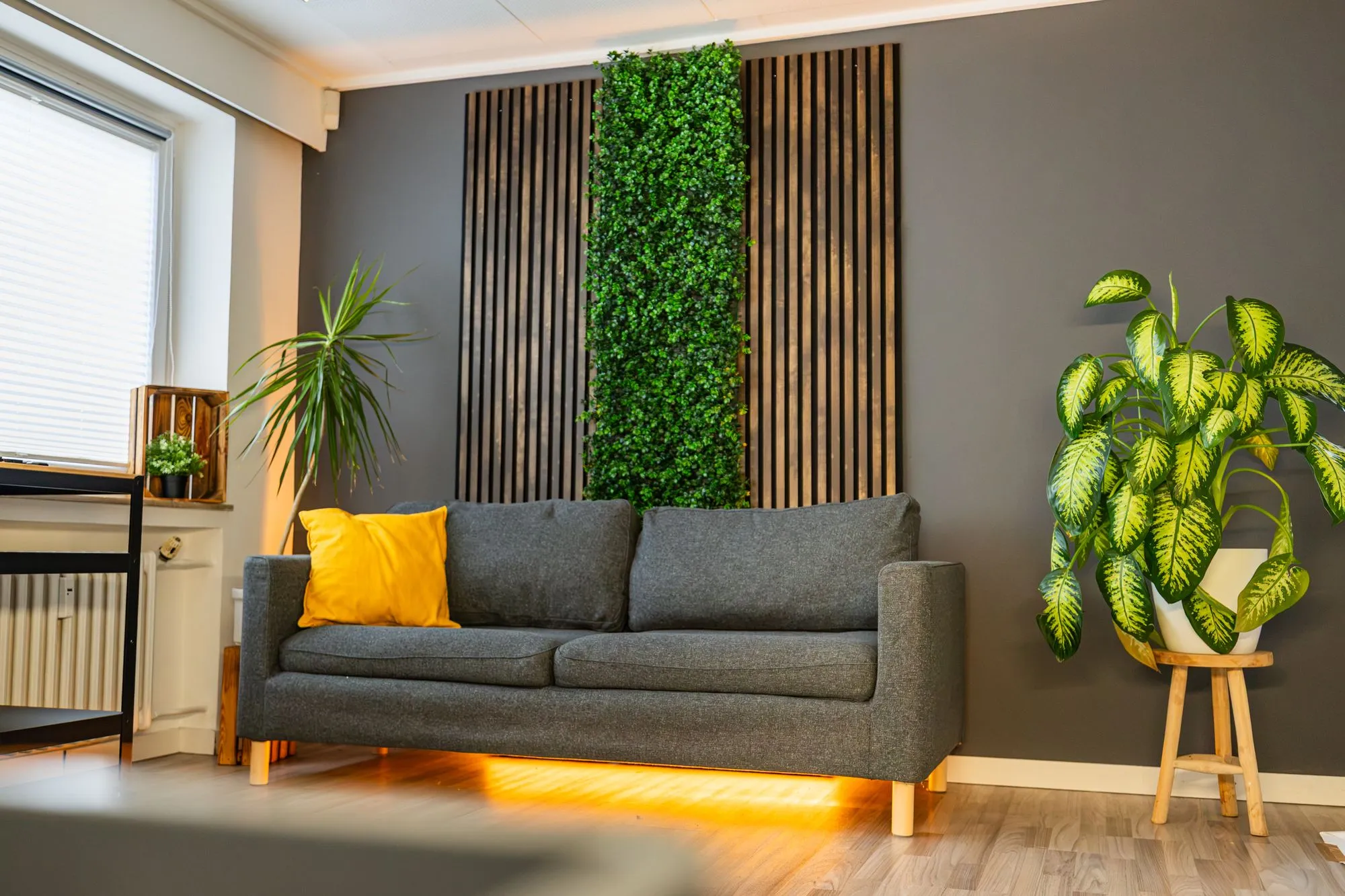 Couch mit gelbem Kissen vor Pflanzenwand und Holzlamellen im Videostudio Essen